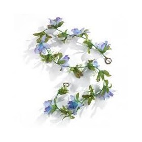 Products: Accessories